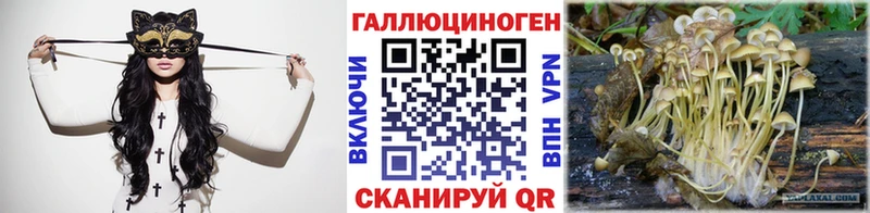 где продают наркотики  Курск  Псилоцибиновые грибы Magic Shrooms 