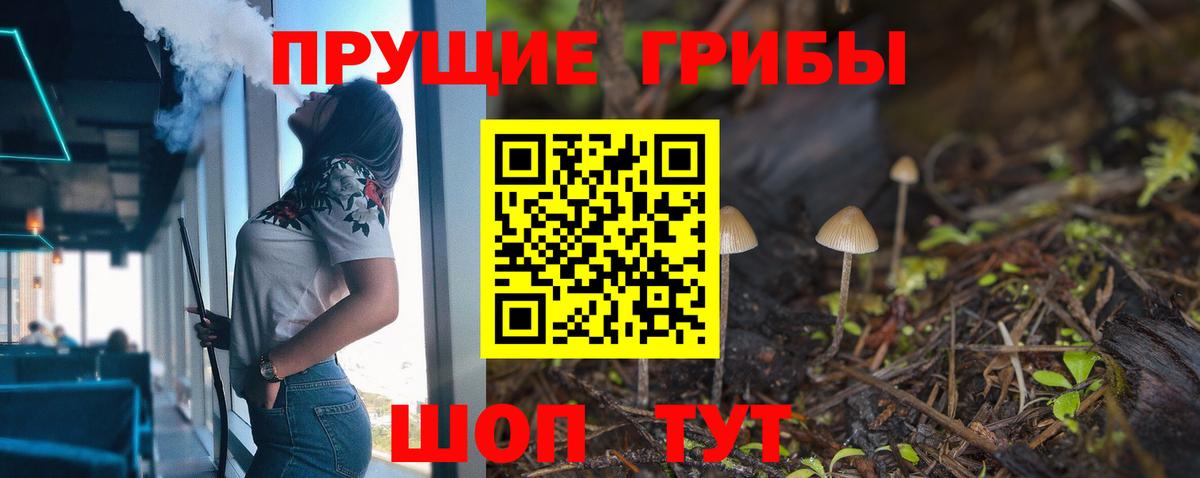 Псилоцибиновые грибы GOLDEN TEACHER Курск