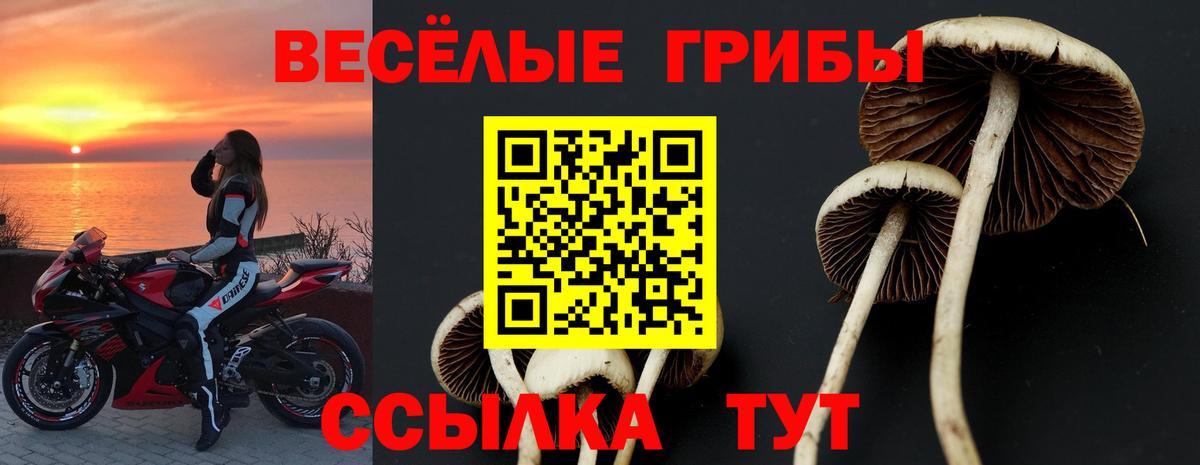Псилоцибиновые грибы мицелий  Вход с VPN  продажа наркотиков  Курск 